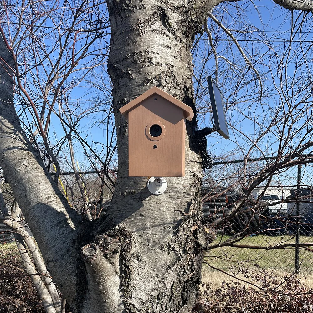 SGBHSP Xtreme Life Solar Powered Bird House Camera - Image 3